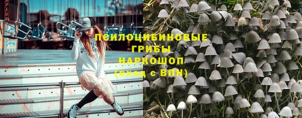spice Нягань