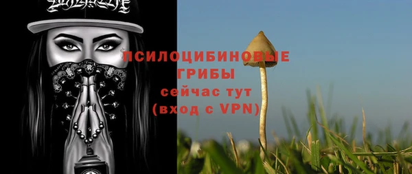 трава Новокубанск