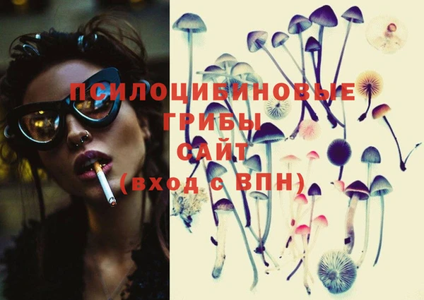 мдма Новозыбков