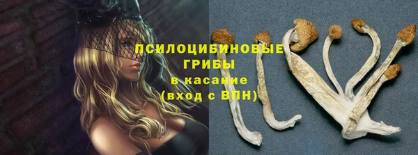 гашишное масло Новодвинск